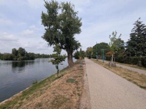 Alte Donau
